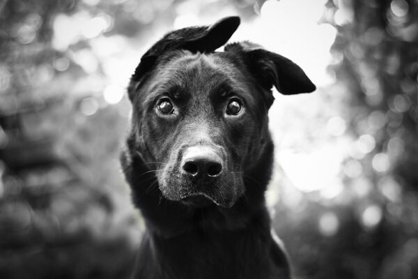 KK8M – Trusted & Safe Platform